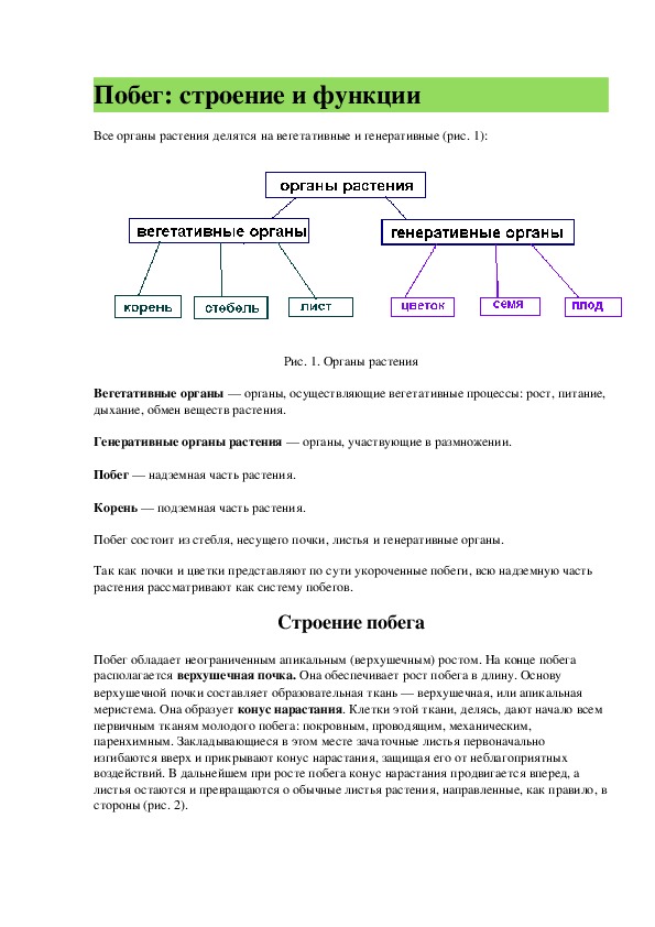 Лекция "Побег"