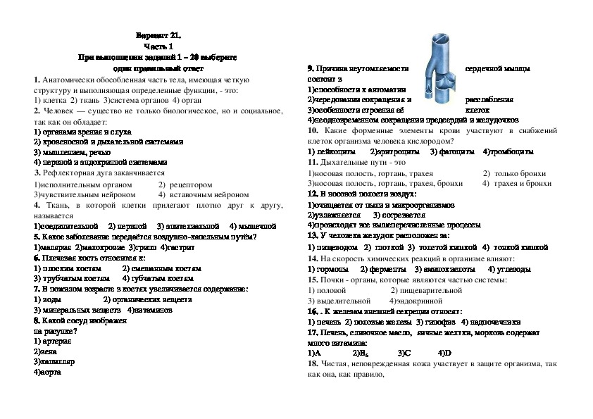 Работа номер 8 по биологии. Диагностические контрольные работы 8 класс биология.