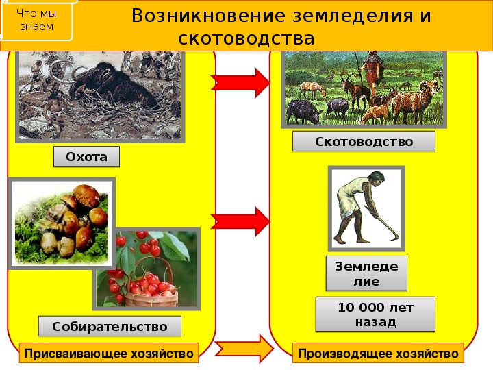 Заполни схему земледелие