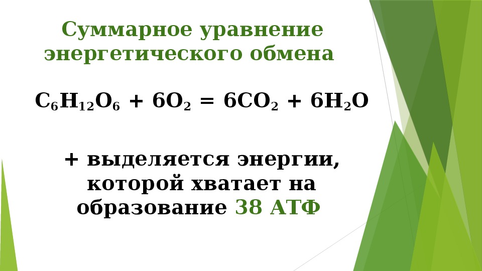 Биология 9 класс обмен. Суммарное уравнение энергетического обмена Глюкозы. Суммарное уравнение этапов энергетического обмена. Общее уравнение реакции энергетического обмена. Итоговое уравнение энергетического обмена.