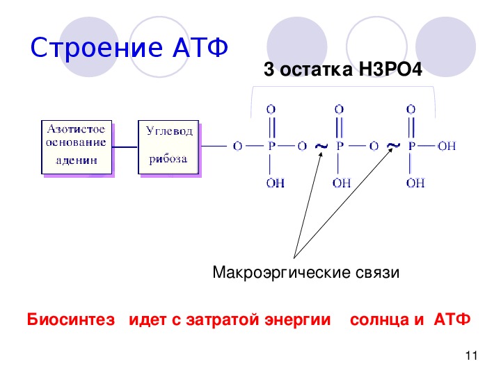 Макроэргические связи