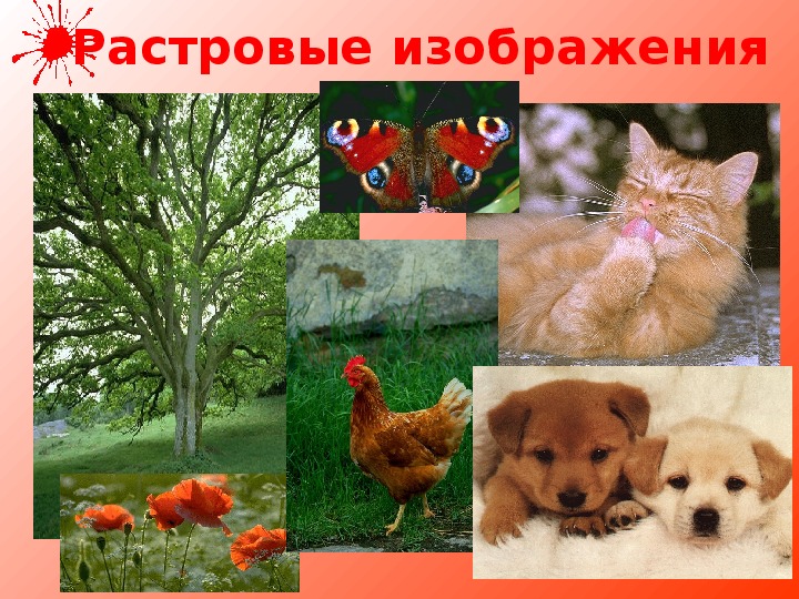 Растровые изображения что это такое