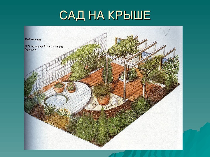 Сад на крыше план