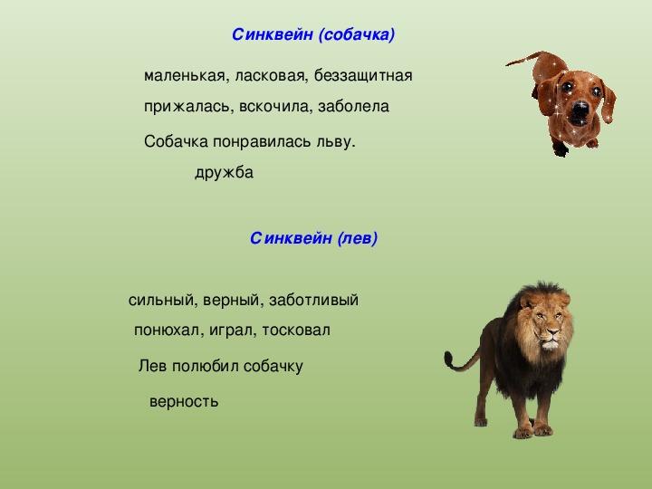 Конспект урока «Л. Н. Толстой «Лев и собачка»