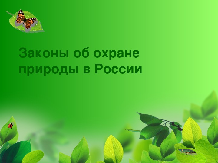 Презентация на тему законы россии об охране животного мира система мониторинга