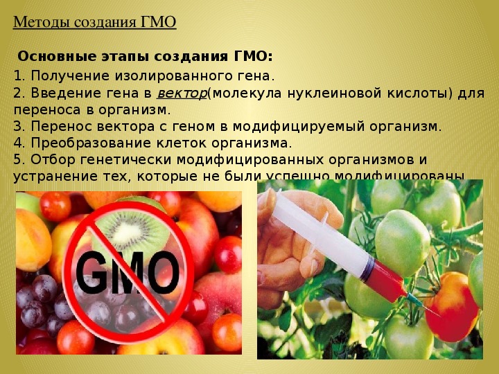Реферат: Генетически модифицированные продукты 4