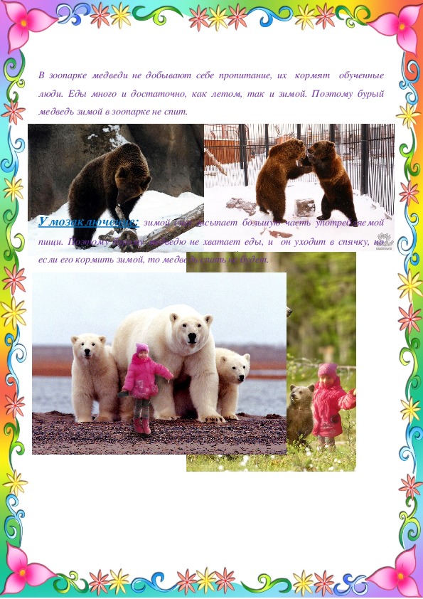 Почему у медведя нет мамы. Почему медведя так назвали медведь. Почему медведь называется медведем. Почему медведя зовут медведем. Почему бурый медведь так называется.