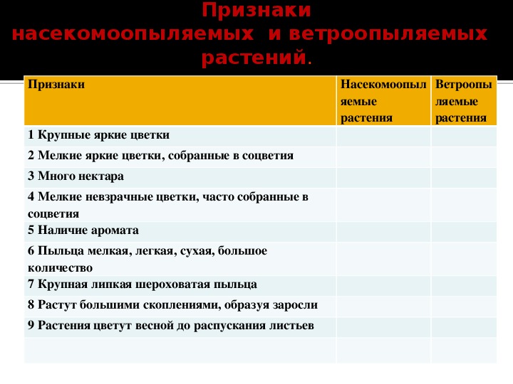 Признаки ветроопыляемых растений