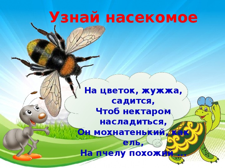 Кто такие насекомые 1 класс. Кто такие насекомые 1 класс презентация школа России. Кто такие насекомые 1 класс окружающий мир презентация. Кто такие насекомые видео 1 класс. Кто такие насекомые презентация 1 класс рабочая тетрадь.