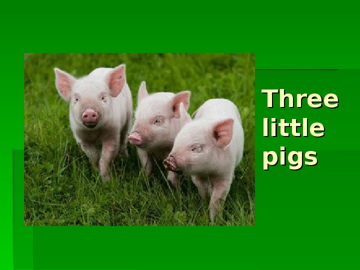 Презентация по английскому языку на тему  "Three little pigs"
