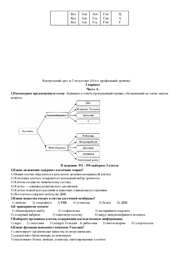 Итоговые проекты по биологии 10 класс