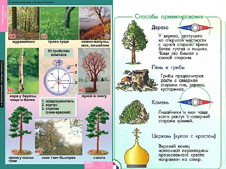 Ориентирование на местности без карты презентация