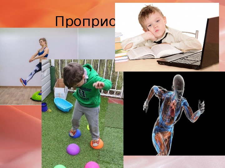 Проприоцепция