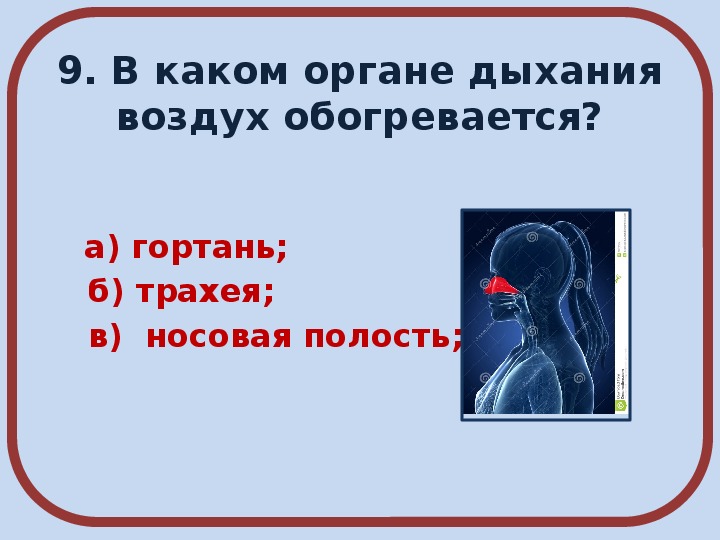 Окружающий мир 3 класс дыхание. Дыхание и кровообращение. Слайды органы дыхания и кровообращения 3 класс. Дыхание и кровообращение 3 класс. Окружающий мир дыхание и кровообращение.