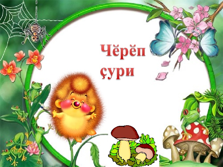 Презентация по чувашскому языку на тему "Маленький зверёк»