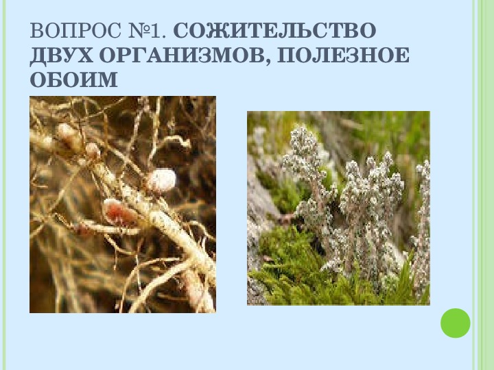 Значение организмов в природе. Сожительство двух организмов полезное обоим. Полезное сожительство 2 организмов. Живые организмы полезные для человека. Полезные и вредные живые организмы для человека.