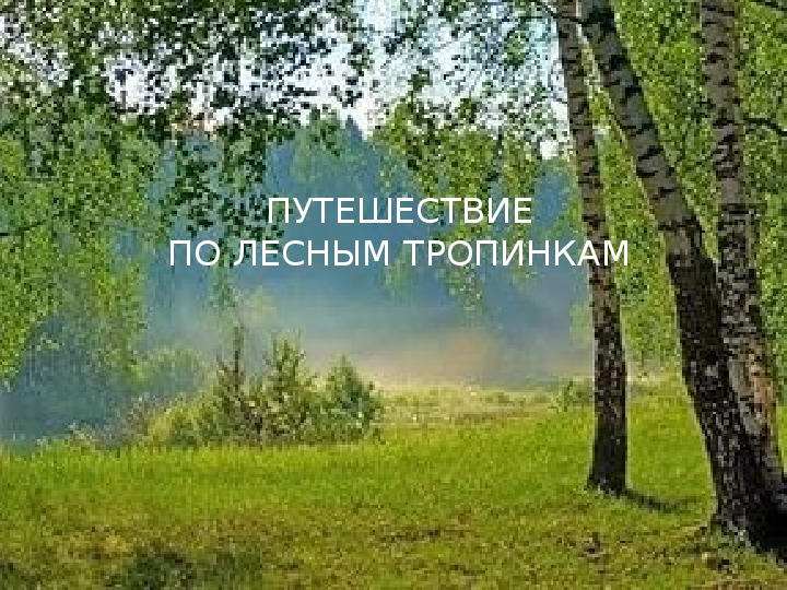 Обложка для материала Классный час "Путешествие по лесным тропинкам"