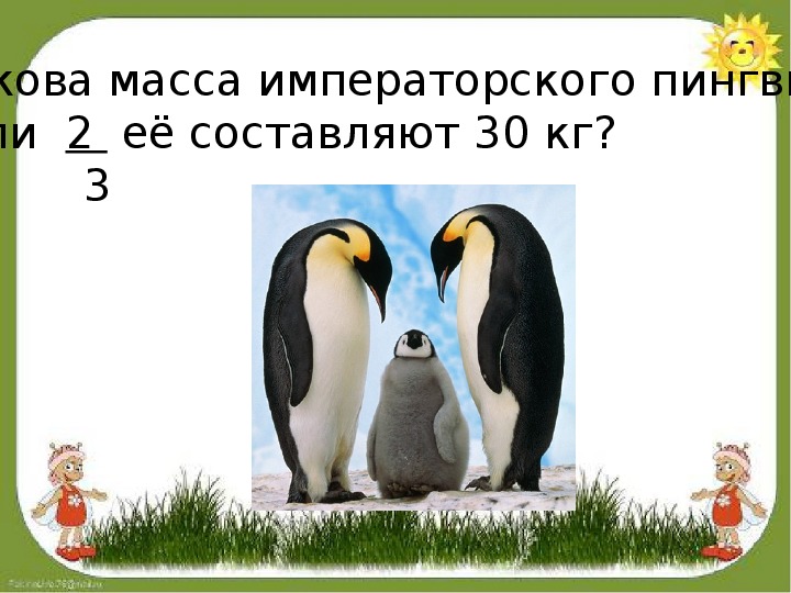 В большей массе. Масса пингвина. Чему равна масса Императорского пингвина. Вес пингвина в 3 животных.