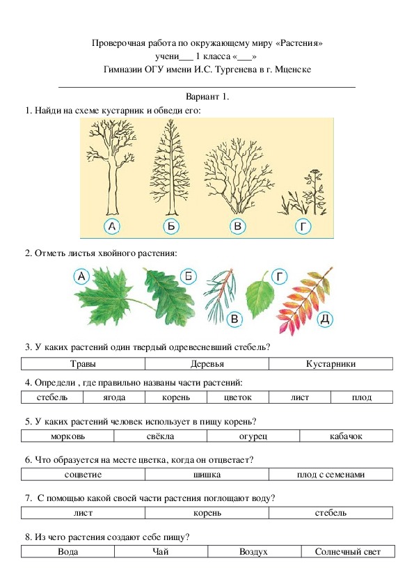 Проверочная работа растительные сообщества 7 класс биология