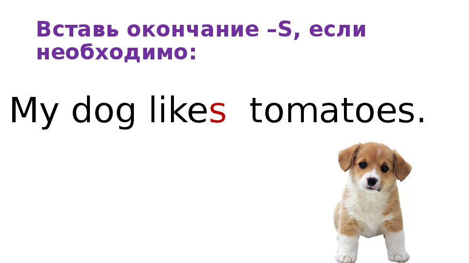 I like dog. Dog it или he. Like с окончанием s. My Dog like или likes. Вставь like или likes.