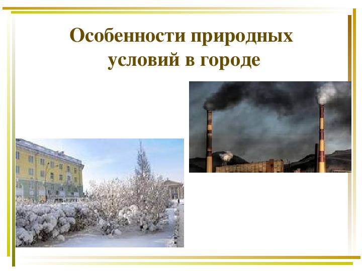 Особенности природных условий. Особенности природных условий в городе. Природные условия в городе ОБЖ. Особенности природных условий в городе 5 класс. Особенности природных условия в городе ОБЖ.