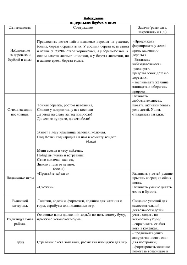Наблюдение за деревьями берёзой и елью