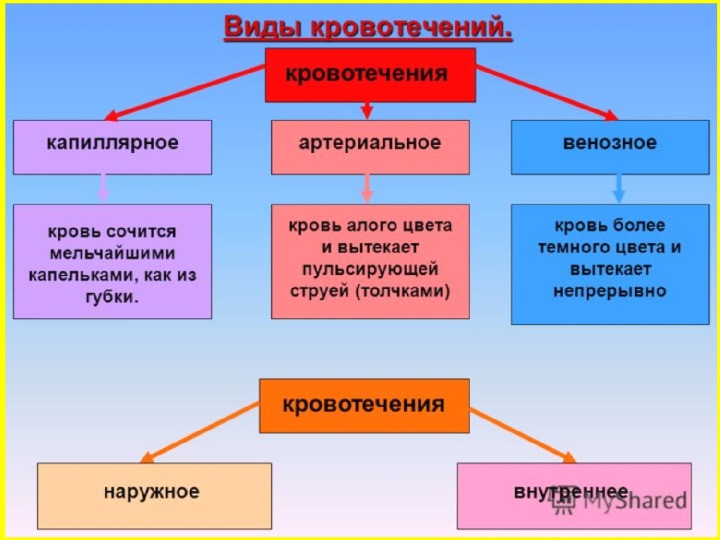 Проект 11 класс обж