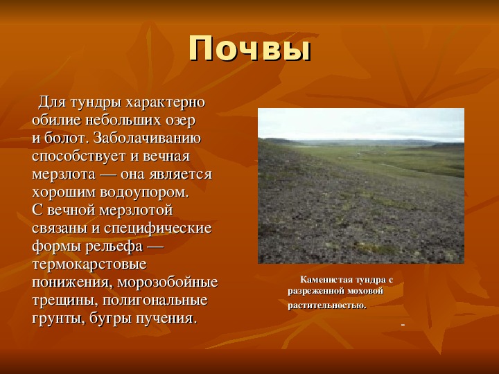 Красноярский край план описания природно хозяйственного региона