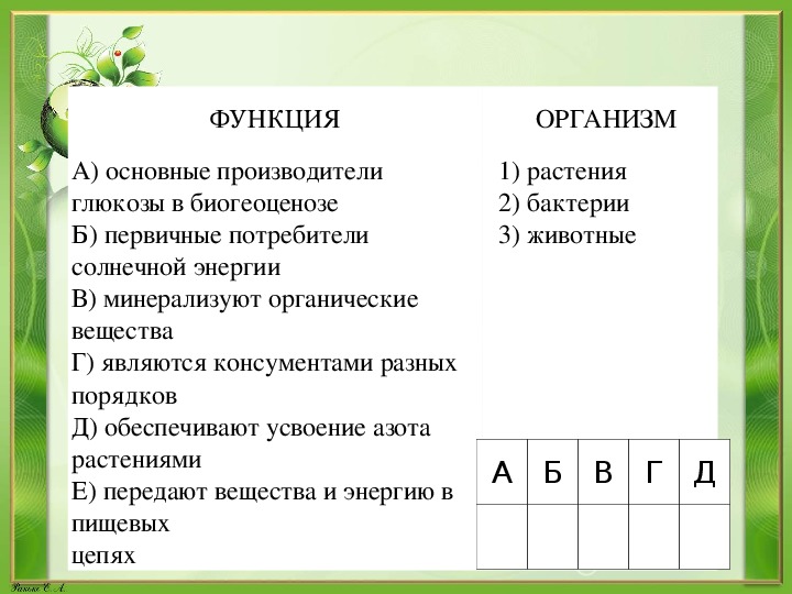 Определите функции организмов. Производители Глюкозы в биогеоценозе. Обеспечивают усвоение азота растениями.