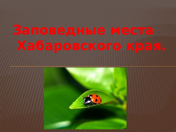 Презентация "Заповедники Хабаровского края" (6 класс, экология)
