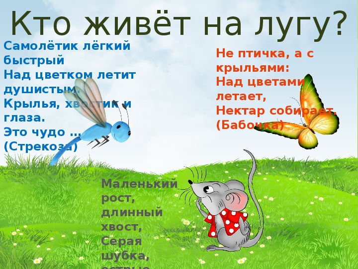 Жизнь луга ответы