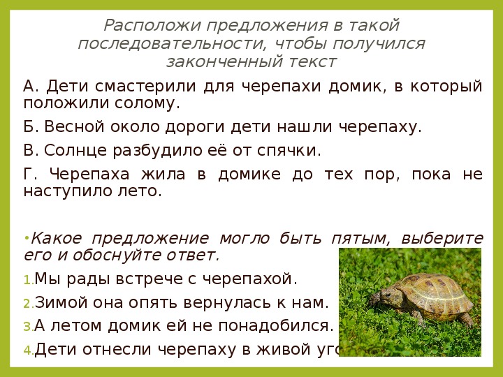 Расположи предложенные. Весной около дороги ребята нашли черепаху. Текст черепаха для 4 класса.