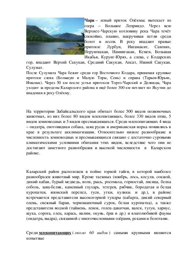 Проект "Разнообразие природы Каларского района Забайкальский край" 3 класс,забайкаловедение