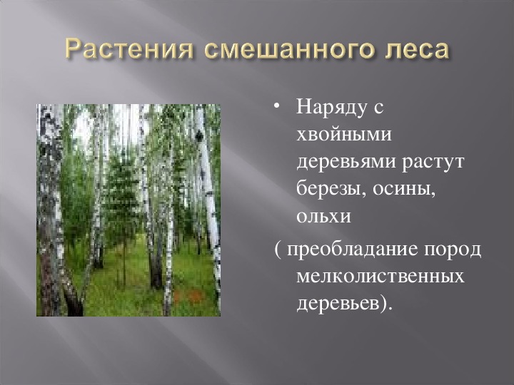 Характеристика лесного сообщества 4 класс по плану окружающий мир по плану