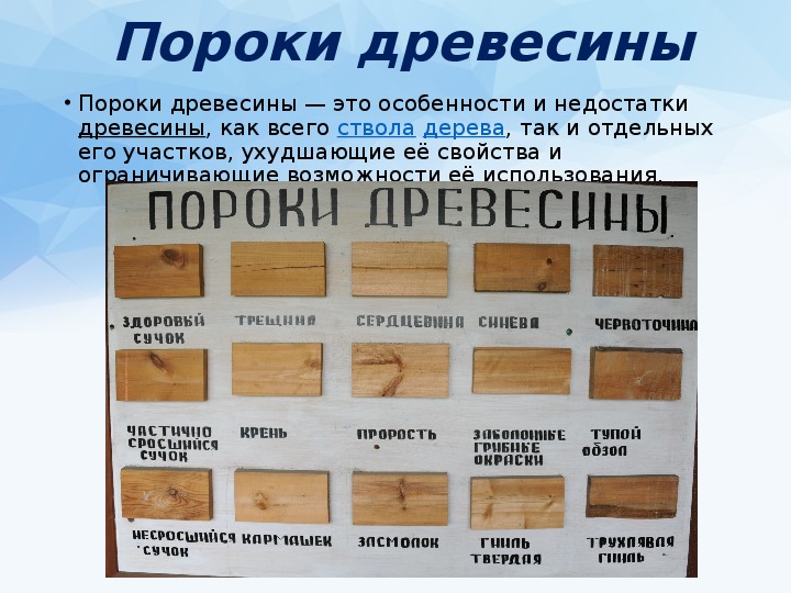 Код ОКВЭД 38 - Сбор, обработка и утилизация отходов; обработка вторичного сырья