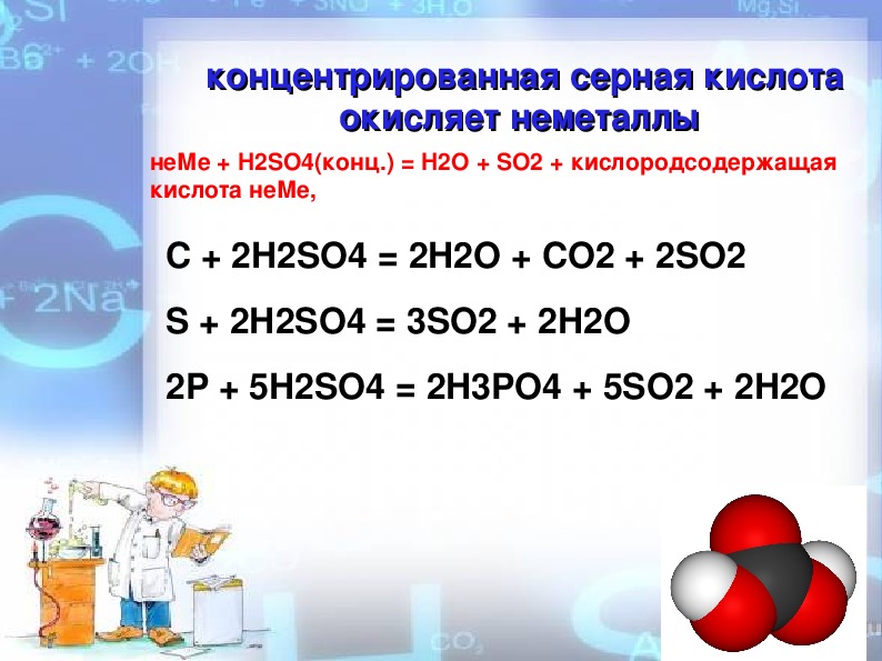 Концентрированная и разбавленная серная кислота. Концентрированная серная кислота с неметаллами. Взаимодействие серной кислоты с неметаллами. Серная кислота с неметаллами схема. Реакция серной кислоты с неметаллами.