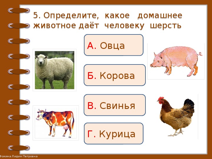 Домашние животные окружающий мир 2 класс презентация