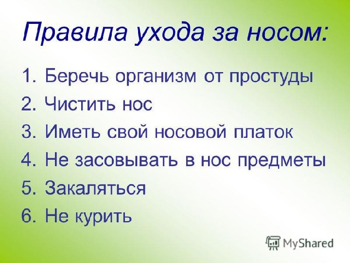 Нос презентация 1 класс