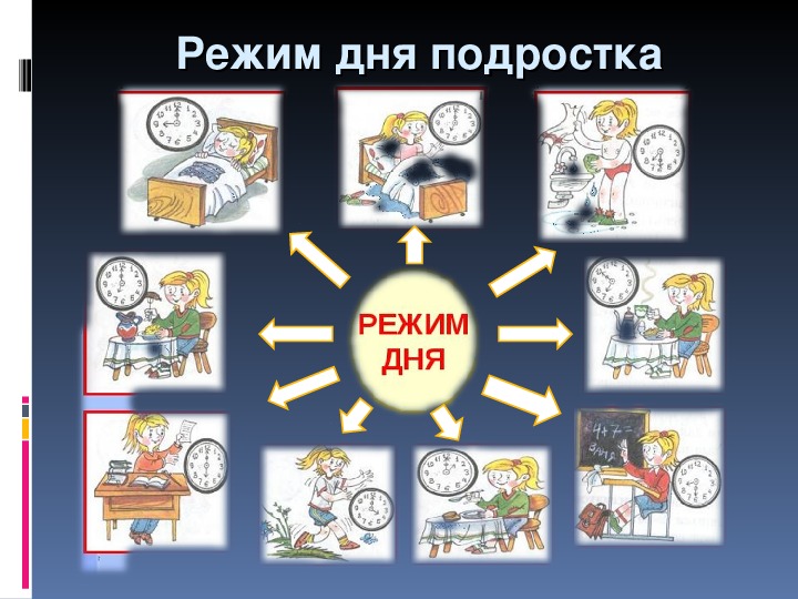 Презентация на тему работоспособность режим дня 8 класс