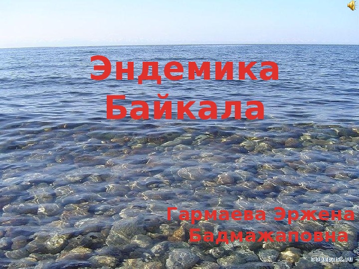 Презентация на тему "Эндемики Байкала"
