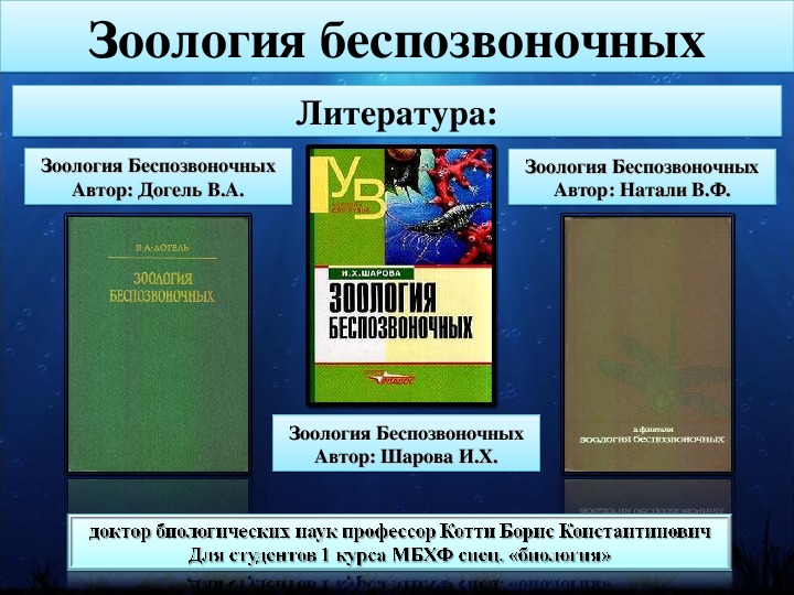 Зоология беспозвоночных. Шарова Зоология беспозвоночных. Лекции по зоологии беспозвоночных. Догель Зоология беспозвоночных.