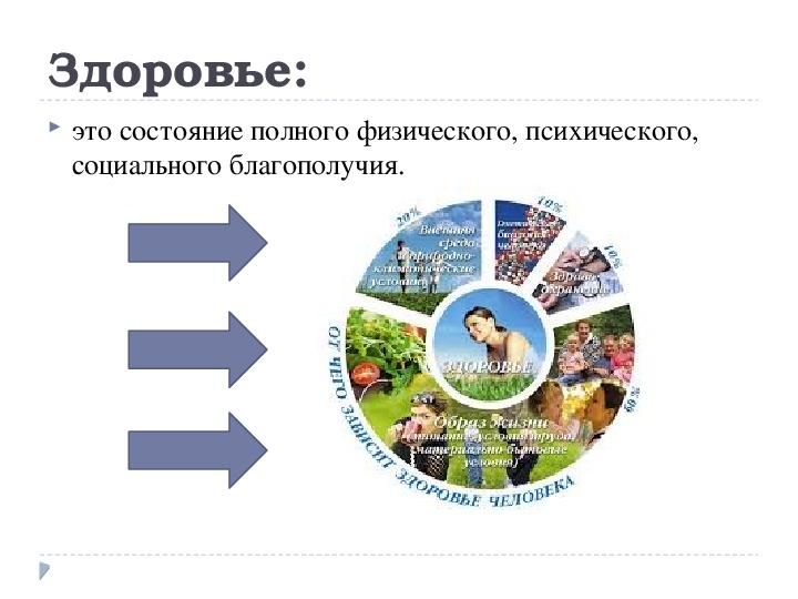 Животные и окружающая среда 8 класс. Экология 8 класс. Проект на тему экология 8 класс. Социальное благополучие. Мастер классы на экологическую тему.