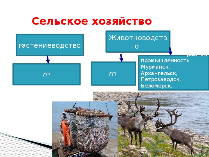 Хозяйство европейского севера презентация