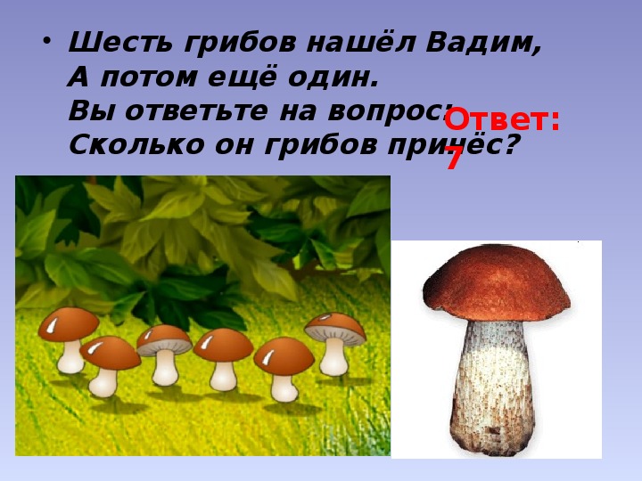 Сколько грибов нашла аня