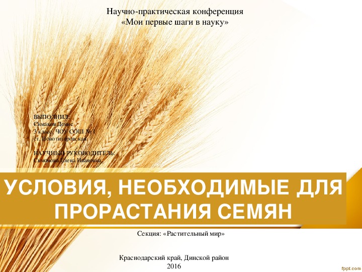 Научно-практическая работа "Условия, необходимые для прорастания пшеницы"