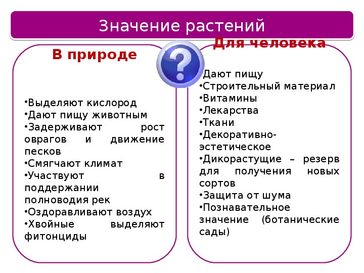 Заполните схему значение растений в жизни человека