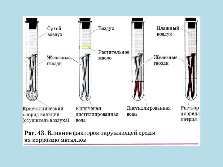 Среда водного раствора хлорида. Влияние факторов окружающей среды на коррозию металлов. Влияние хлоридов на коррозию металлов. Опыт коррозия металлов. Эксперимент по коррозии металлов.