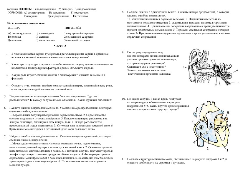 Анатомия огэ презентация