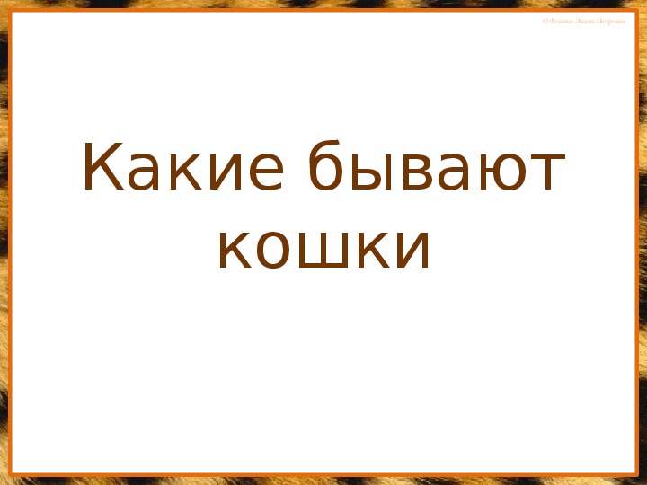 Обложка для материала Интерактивная книжка "Какие бывают кошки?"