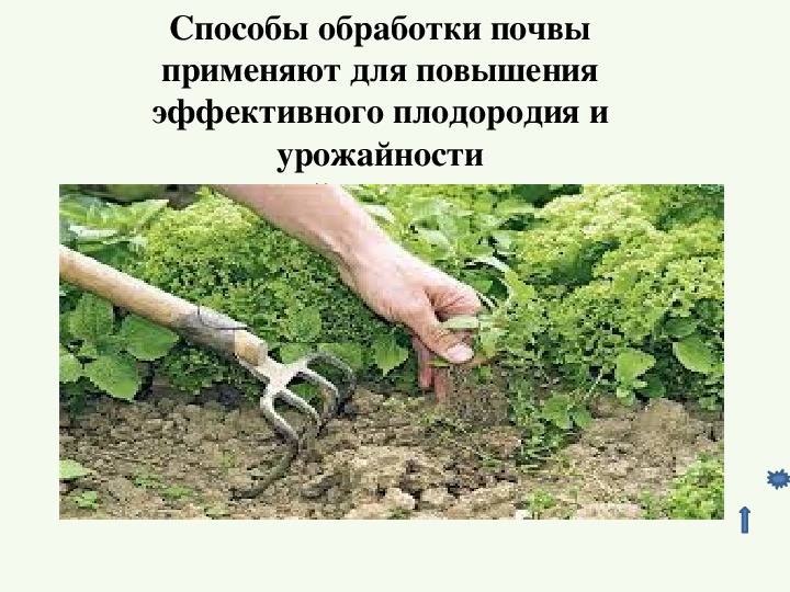 Методы обработки почвы